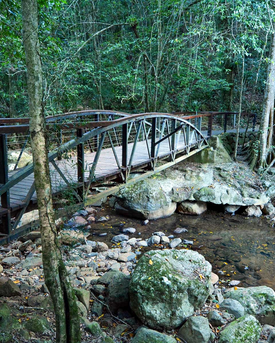 Springbrook National Park near Gold Coast Australia (1)