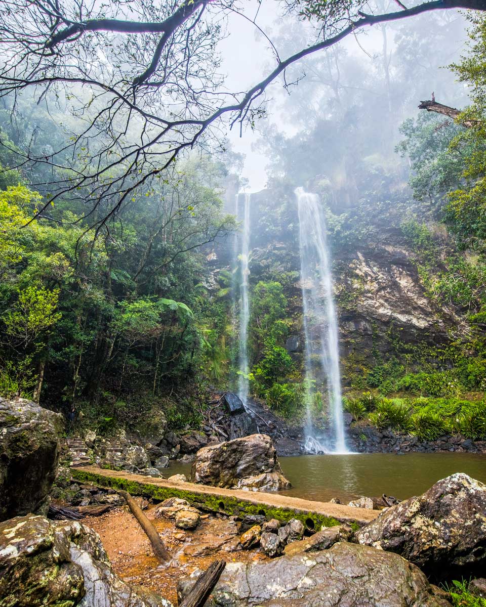 Springbrook National Park near Gold Coast Australia (2)