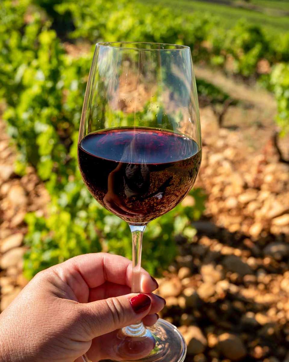 Wine-drank-on-a-tour-from-Gold Coast Australia