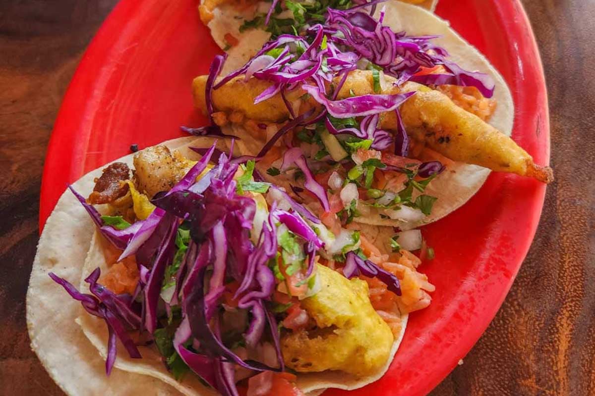 plate-of-seafood-tacos-in-Page Arizona