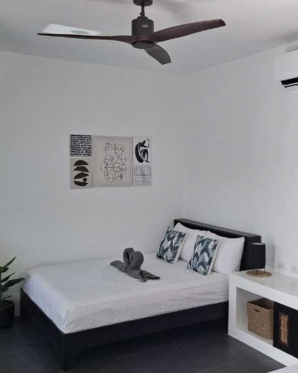 Coco del Rey near Cebu Philippines 1