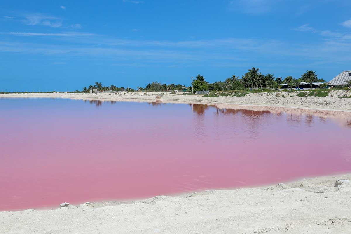 Las Coloradas, Mexico on a tour from Merida