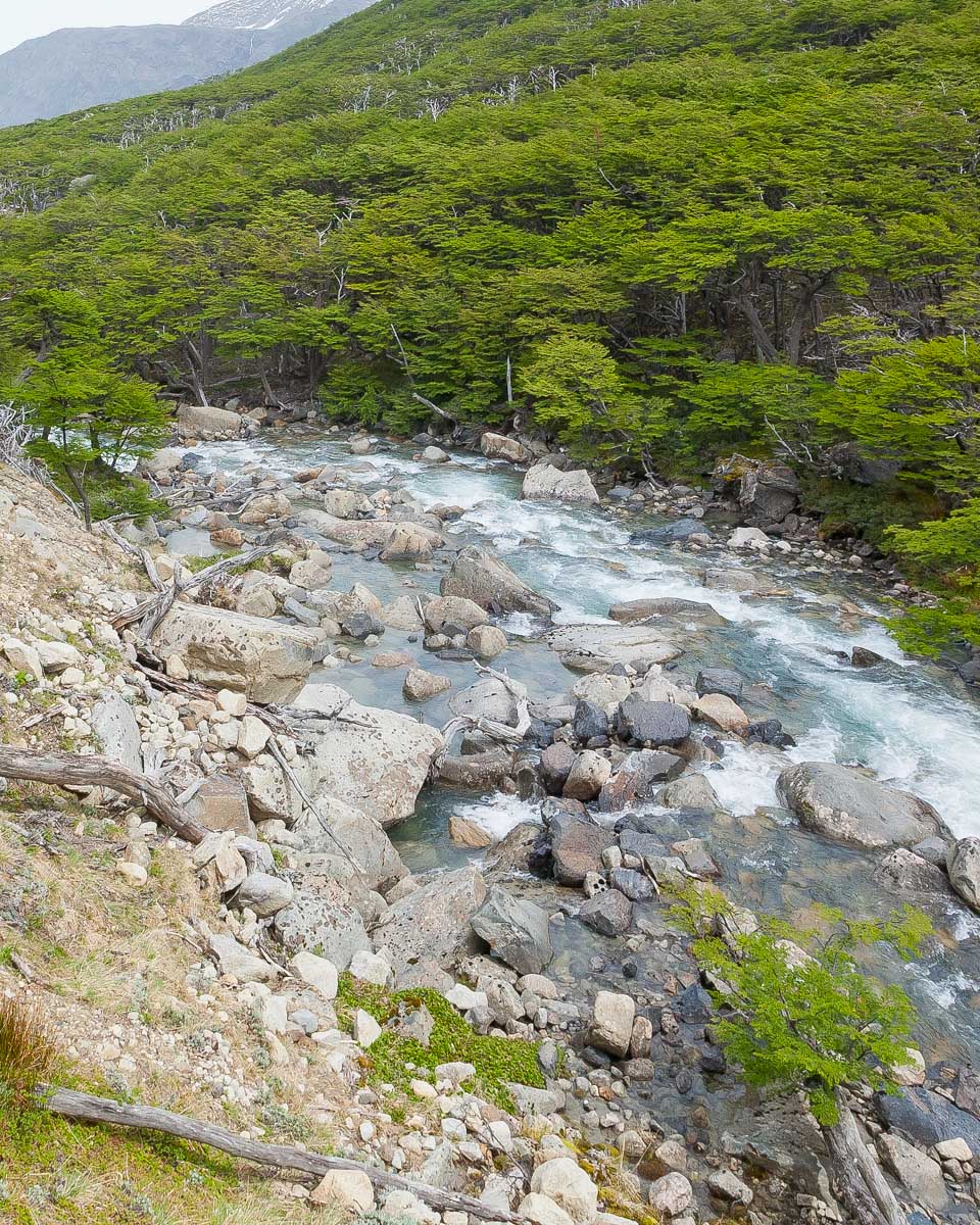 Views from a hike in Torres del Paine NP Argentina