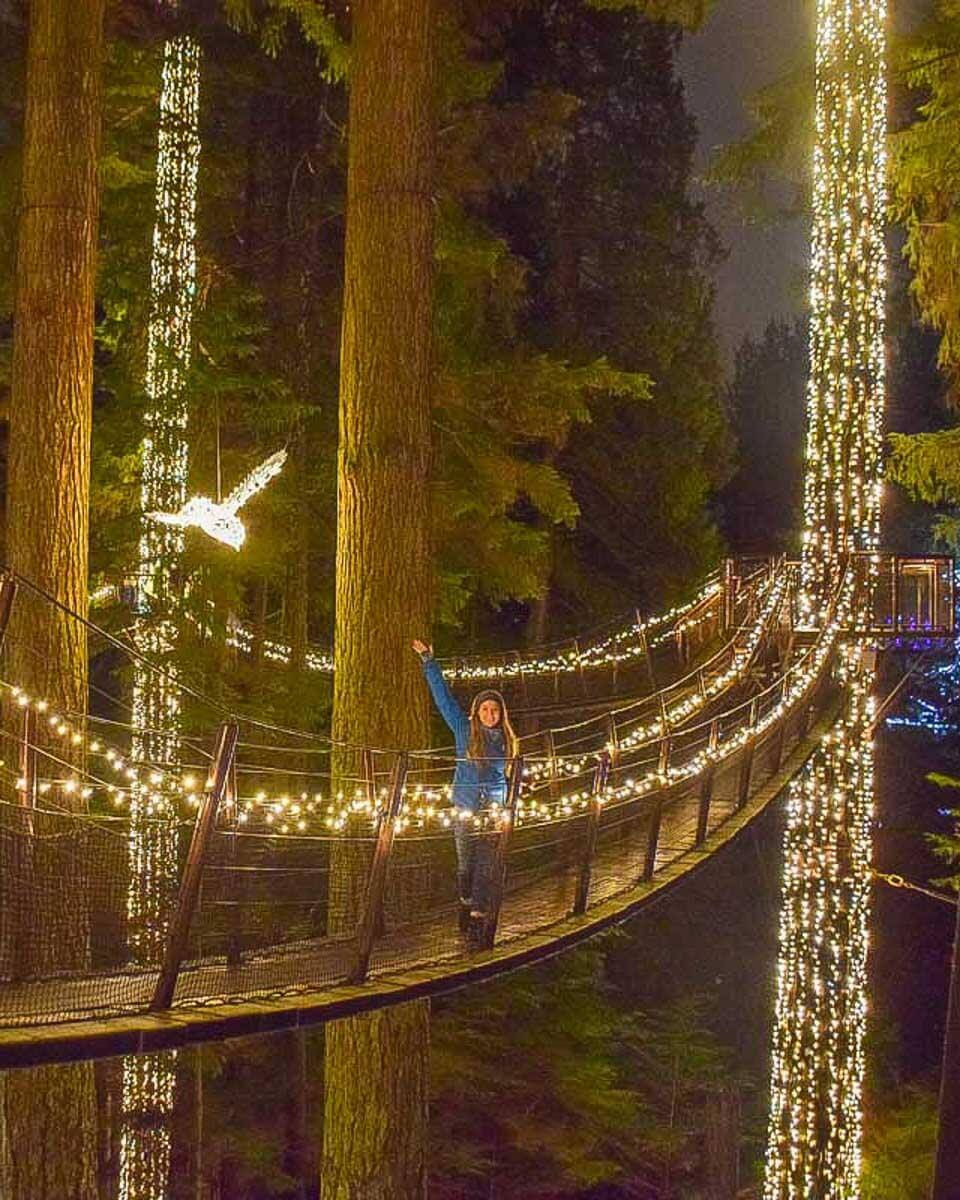 capilano-suspension-bridge-at-night in winter on a tour from Vancouver BC Canada 1