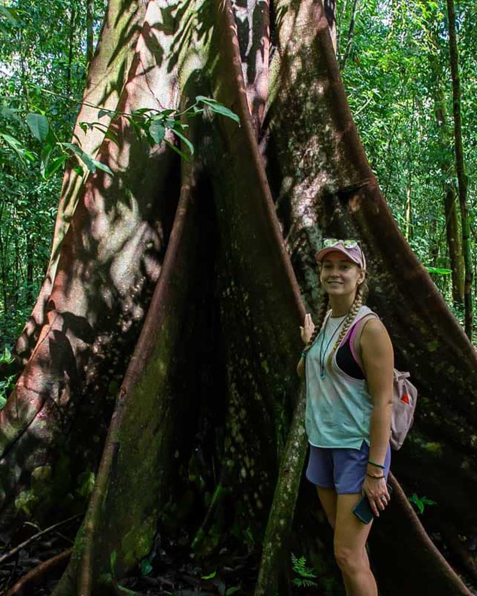 Bailey-stands-in-front-of-a-huge-tree on a hike of Monkey Mountain from Sayulita Mexico
