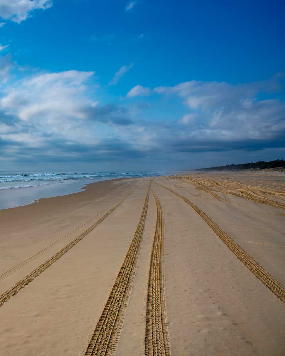 Tire tracks on the Great Beach Drive in the Great Sandy National Park on a tour from the Sunshine Coast Australia