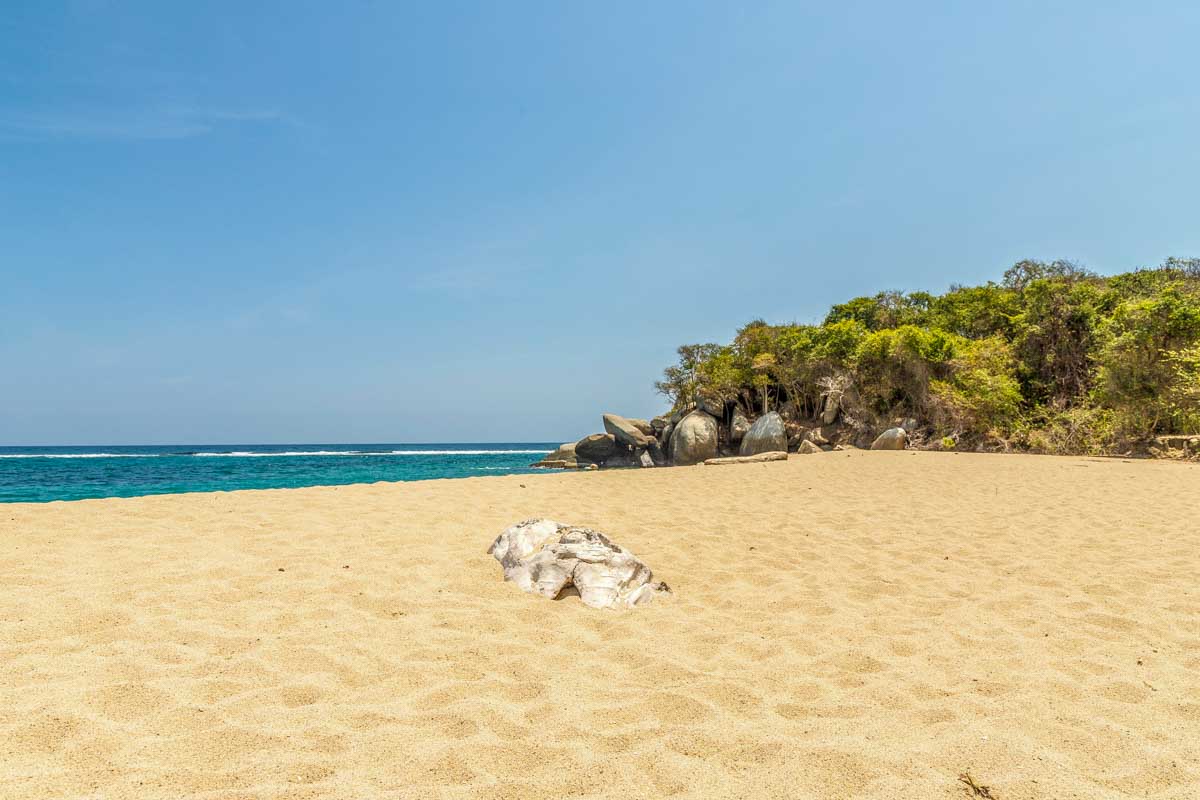 Beach view in Tayrona on a sailing tour from Santa Marta Colombia