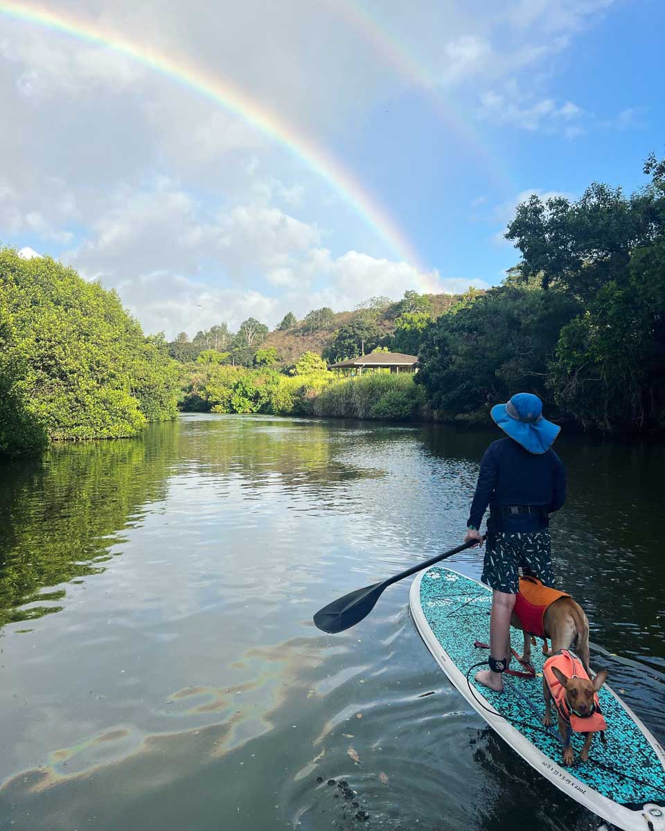 Blue Planet in North Shore Oahu Hawaii 1