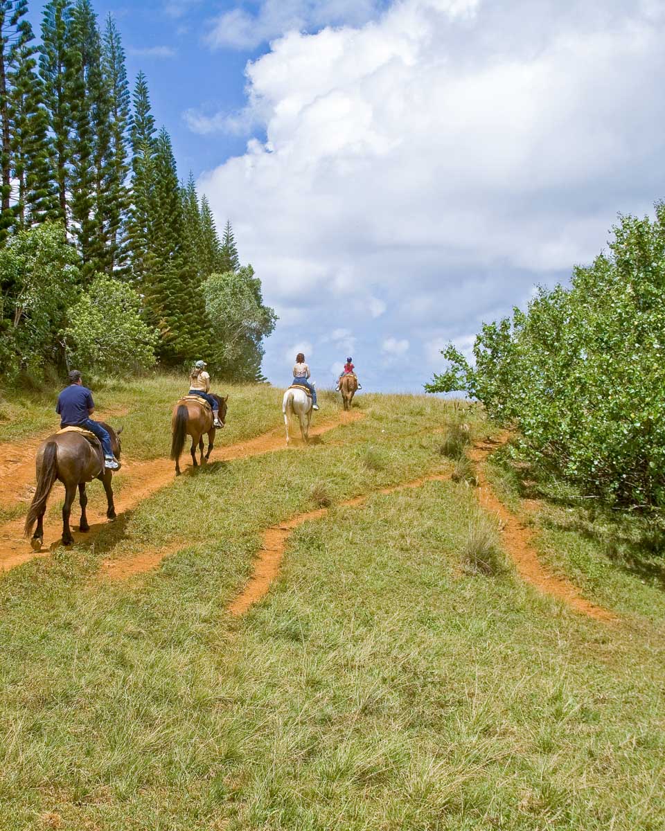 Horseback riding on Oahu North Shore Hawaii