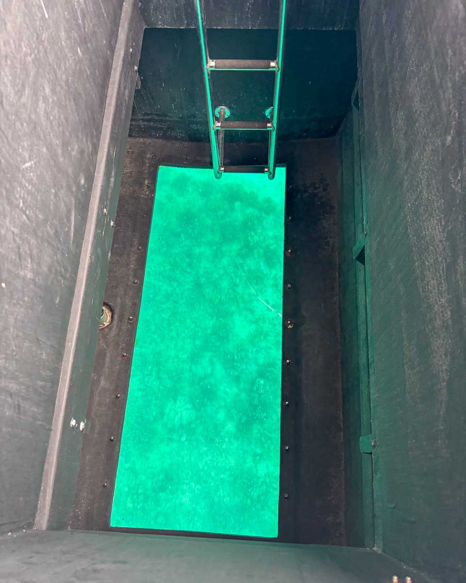 Looking down into the water from a glass bottom boat in Waikiki Honolulu Hawaii (46)