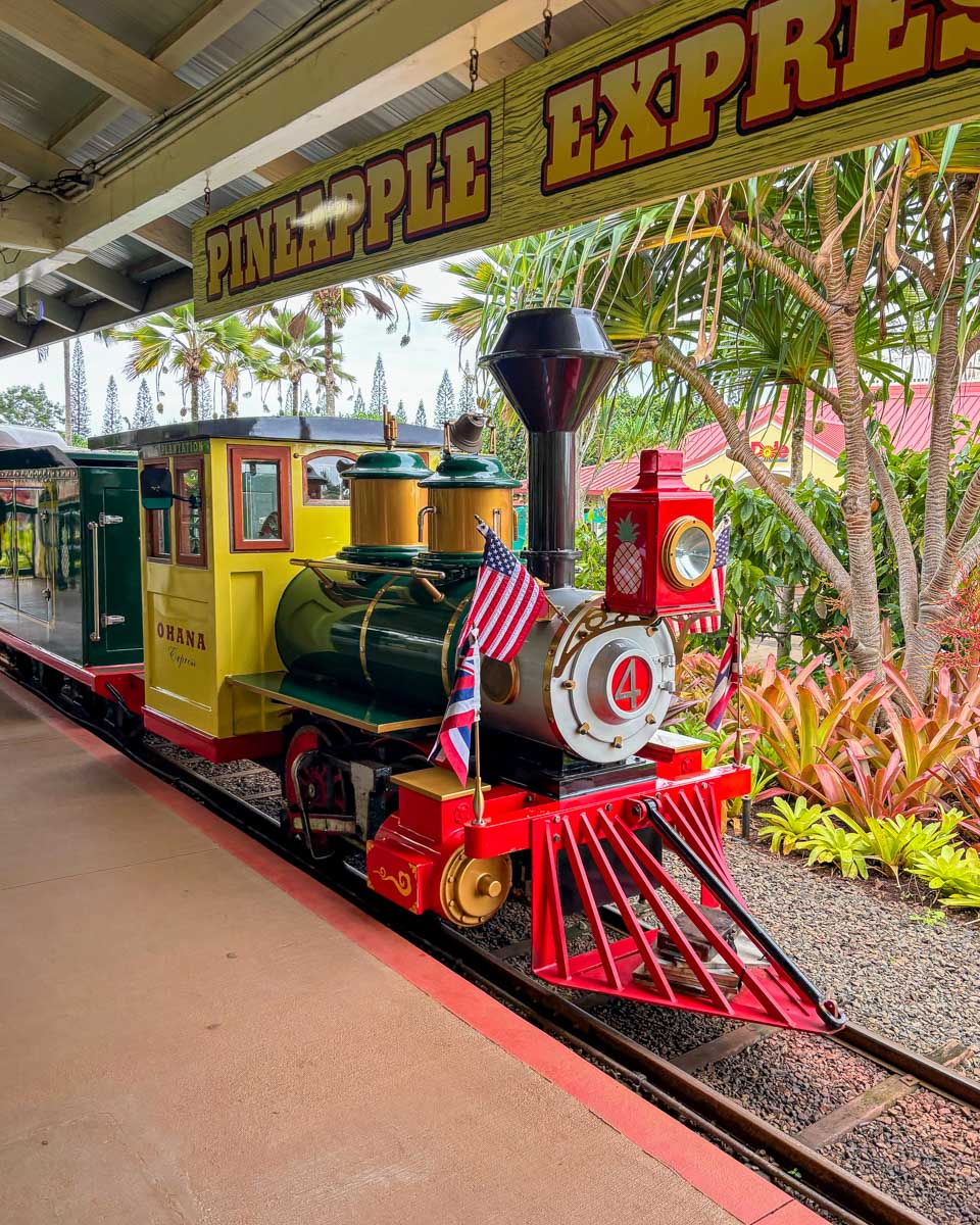 Pineapple Express train at Dole in Waikiki Honolulu Hawaii (27)