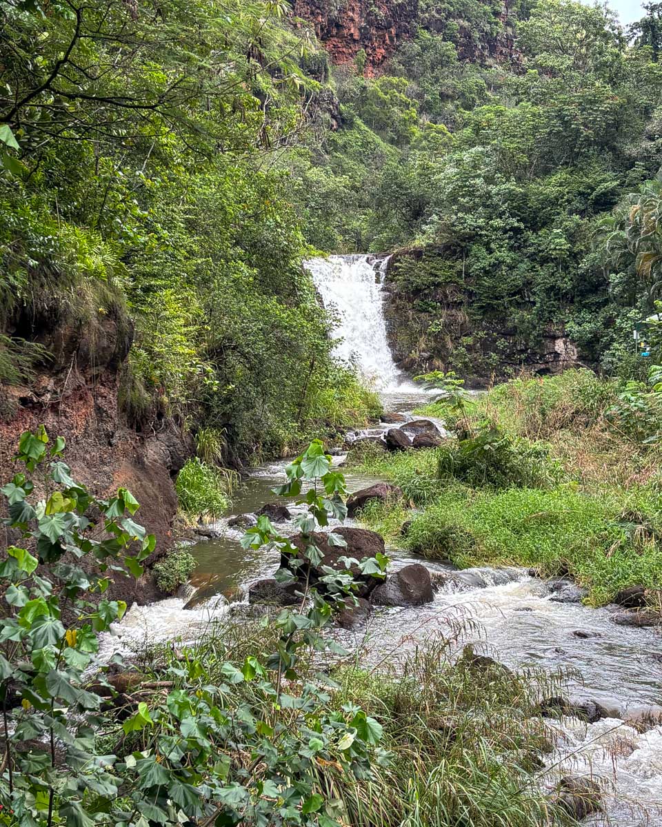 Waimea Falls in Waimea Valley on Oahu North Shore Hawaii (2)