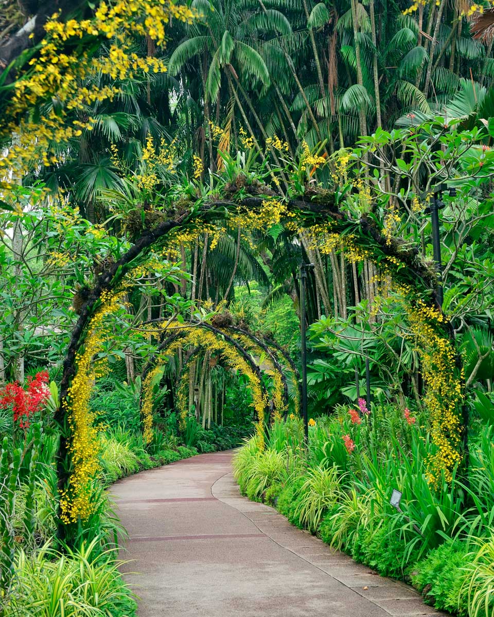 Walking through the Singapore Botanic Gardens in Singapore