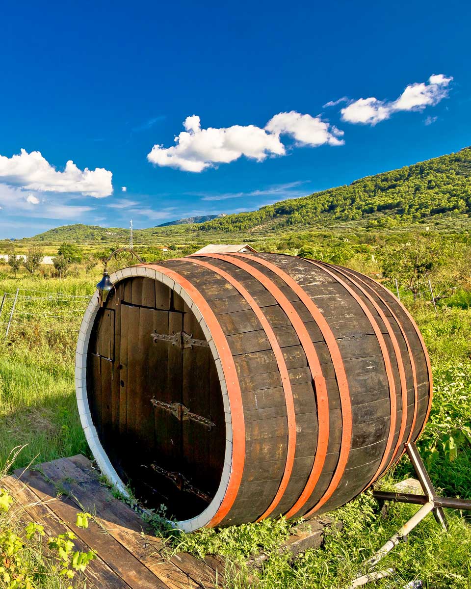 Wine barrels on Stari Grad plain near Hvar Croatia